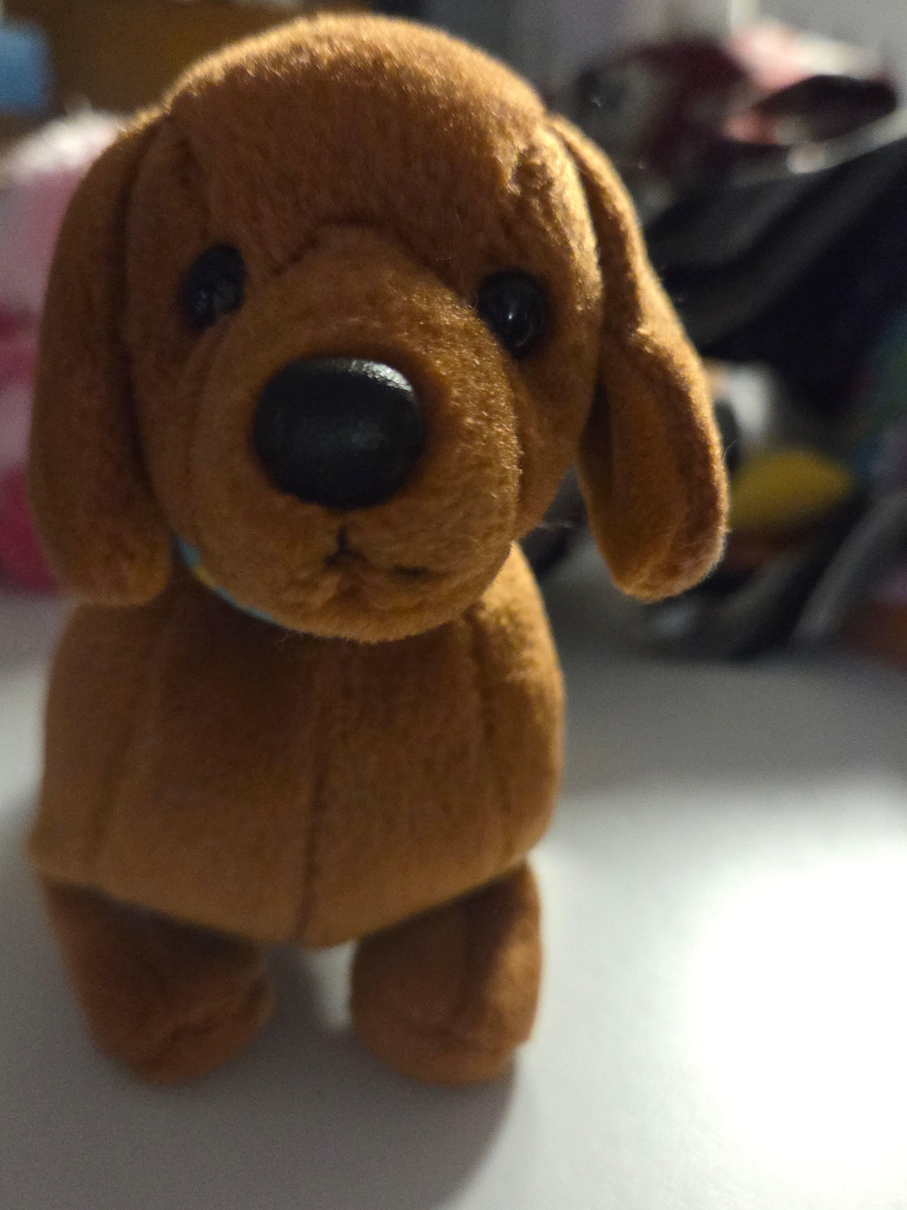 Ty Beanie Baby "Frank" the Dachshund (7.5 inch) – 2008