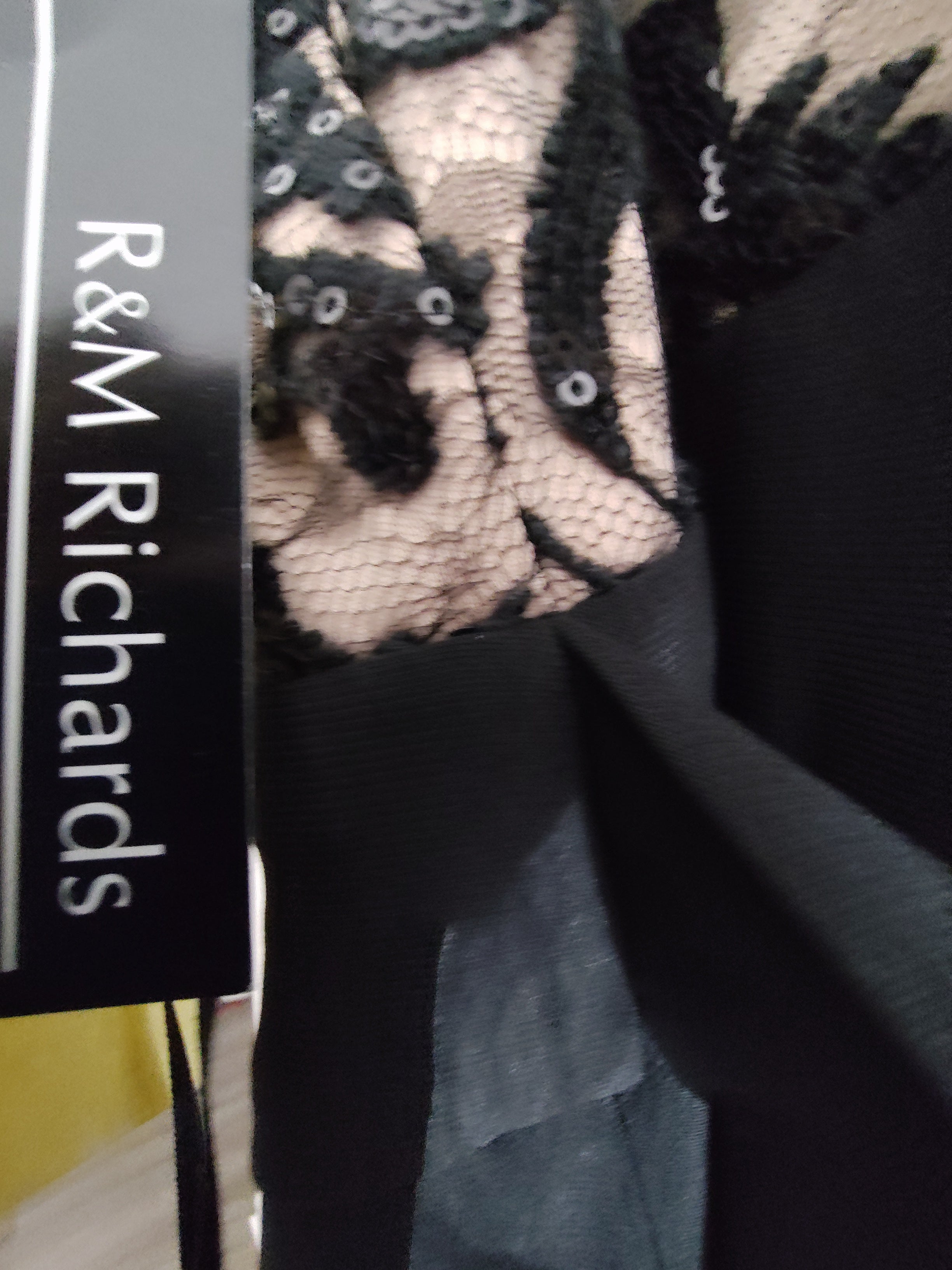 R&M Richards Lace Evening Gown Cream Black Floral Embroidery NWT