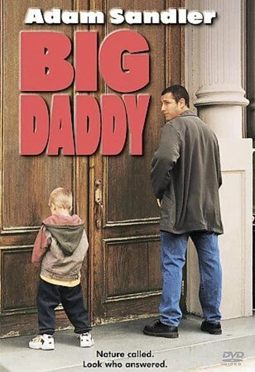 Big Daddy (DVD) — Preowned