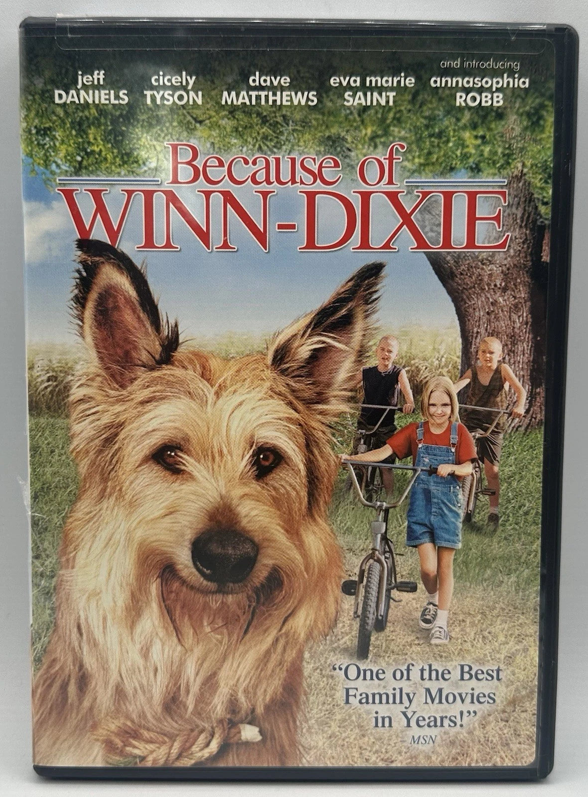 Because of Winn-Dixie DVD Widescreen/Fullscreen Edition (2005)